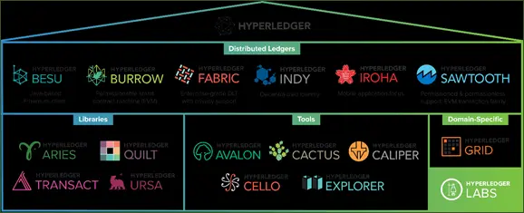 Hyperledger frameworks; distributed ledgers, libraries, tools and domains.